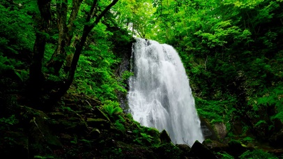 护眼绿林瀑布