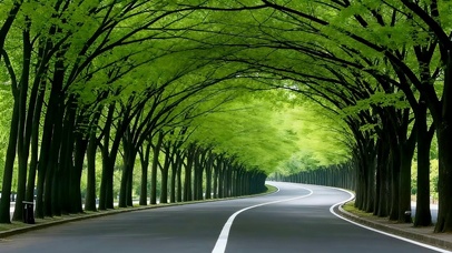 绿荫公路