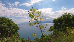 海边风景