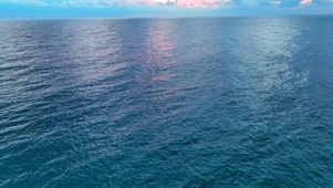 治愈大海