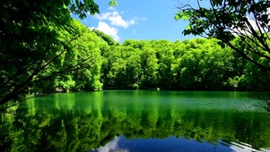 初夏的湖景