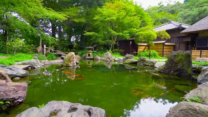 绿林庭院鱼塘锦鲤