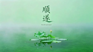 雨后荷塘