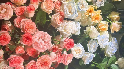 五彩斑斓的花海