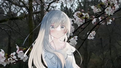 雨桜