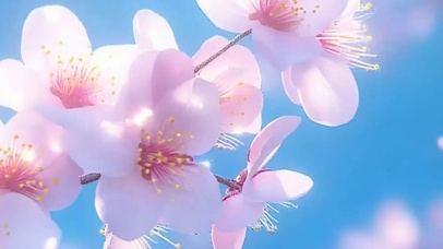 护眼树木带鱼屏