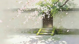 小院鲜花飘落
