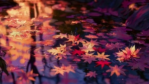 绚丽秋日唯美落叶水潭