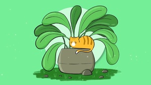 清新可爱喵星人