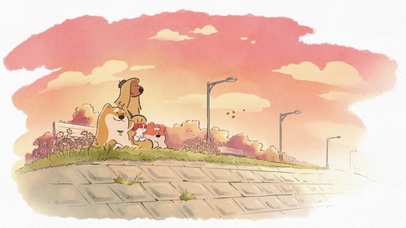 一起看晚霞（柯基）