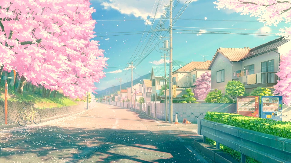 日本樱花街道二次元图片