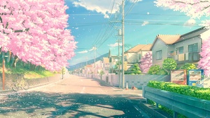 日本樱花街道