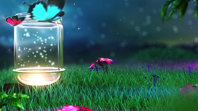 fireflies