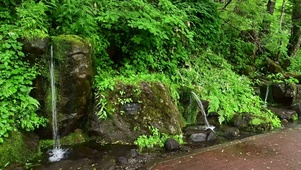4K护眼绿色山泉流水