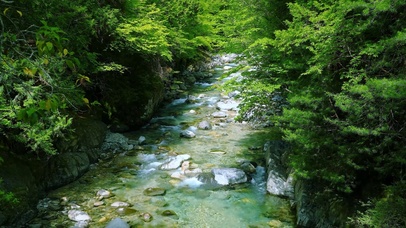 夏日绿林山涧