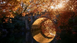 秋日美景