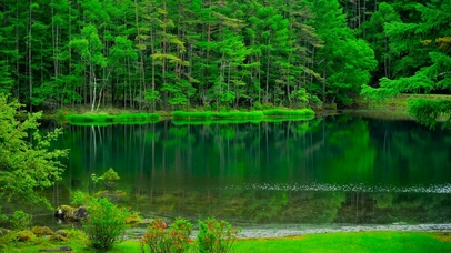 4K养眼绿意-青山绿水