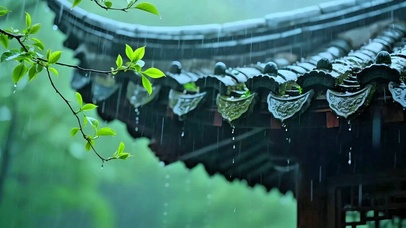 治愈小雨4K