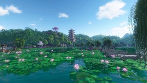 夏荷