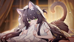 家养猫