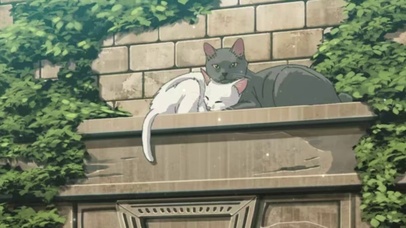 爱情猫
