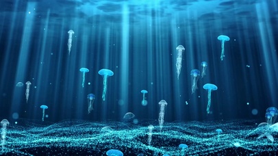 唯美深海深海壁纸图片 动态桌面壁纸图片 动态壁纸下载 元气壁纸 唯美深海深海壁纸图片 动态桌面壁纸图片 动态壁纸下载 元气壁纸