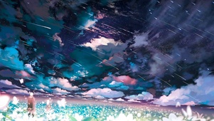 虫师 唯美星空花海