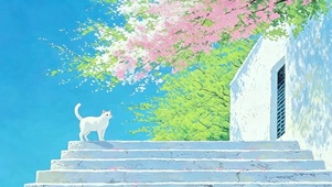 治愈樱花小猫4K