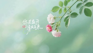 你诺盛开 清风自来