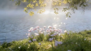 波光粼粼的湖面