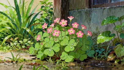 雨天的小花