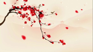 雪落梅花