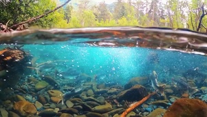 唯美海底世界-极度舒适