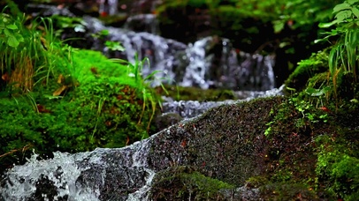 治愈护眼溪流 4K