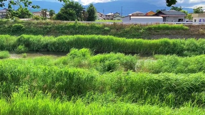 夏天的风