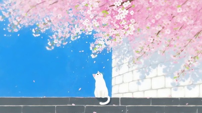 春天赏花的猫咪