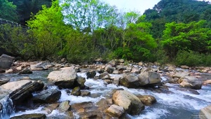 绿林流水