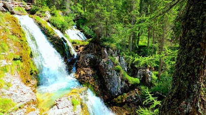 4K唯美绿林溪流