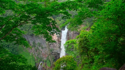 护眼绿林山间瀑布