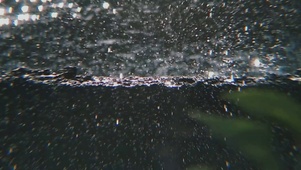 治愈的雨