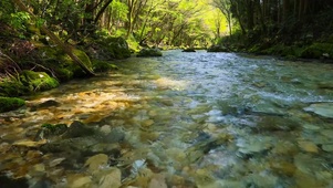绿林山涧流水