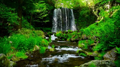 夏日绿林山涧瀑布