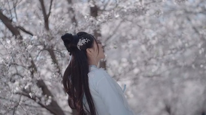 樱花下的错位时空