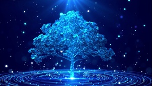 奇幻梦境