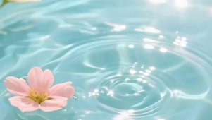 夏天水流带鱼屏