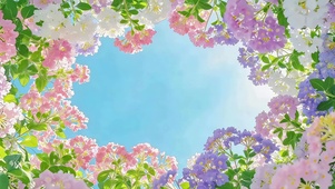 治愈小清新鲜花