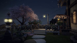 樱花之恋