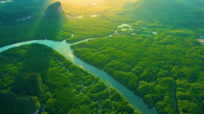 航拍清晨阳光绿地河流