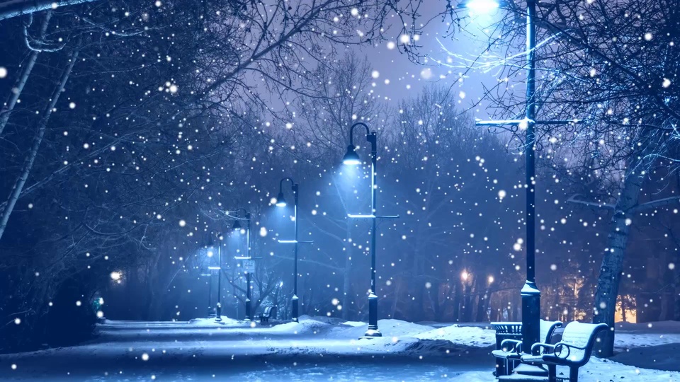 冷蓝色调的雪夜公园场景，覆雪步道上排布着多根暖光路灯，两侧落雪长椅与挂雪乔木分布其间，整体笼罩朦胧雾感。