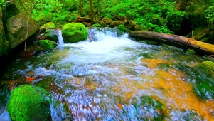 4K治愈林间流水